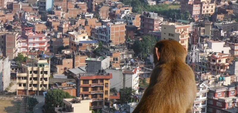 Looking over Kathmandu from the Monkey Temple